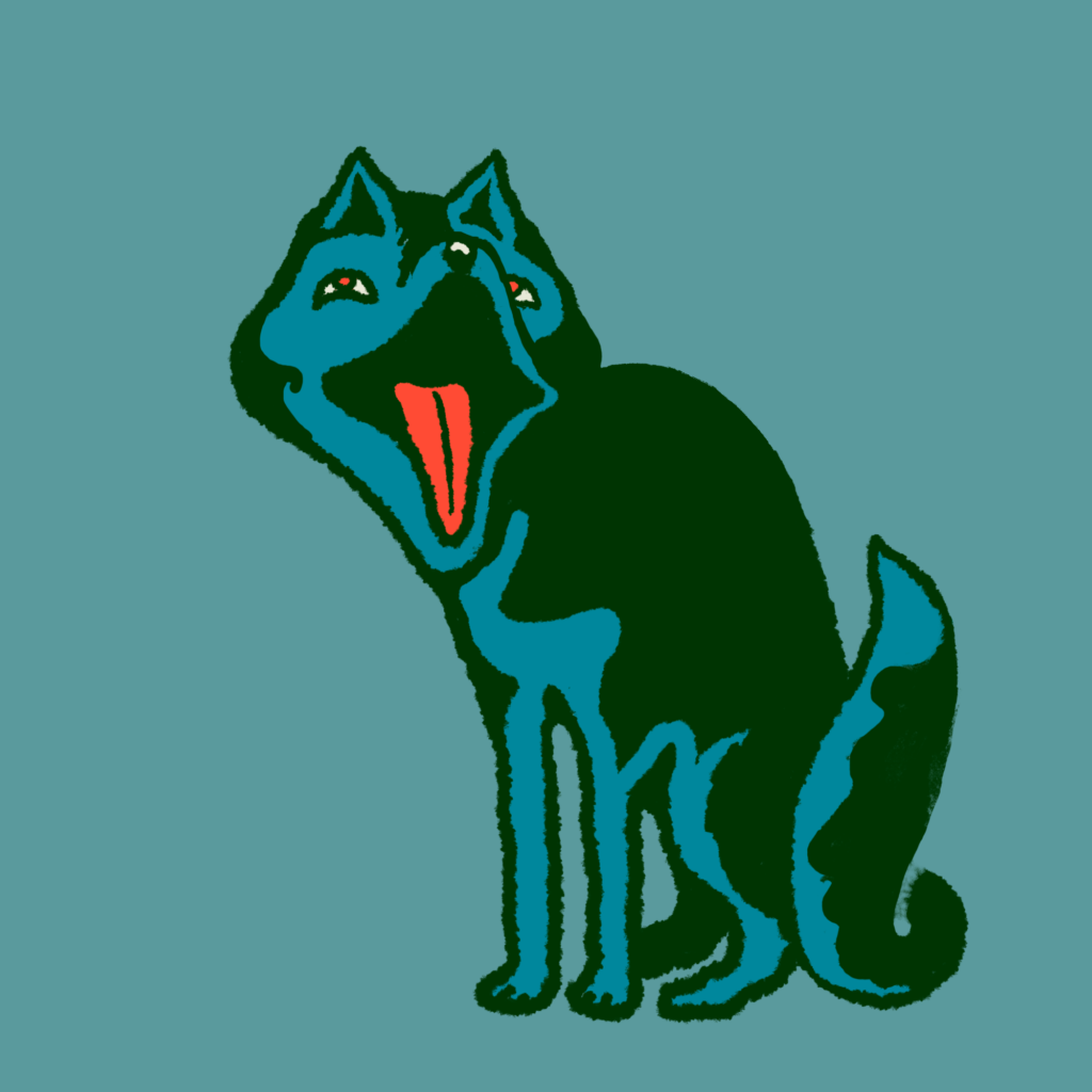 HUSKY COULEUR 2020 1024x1024