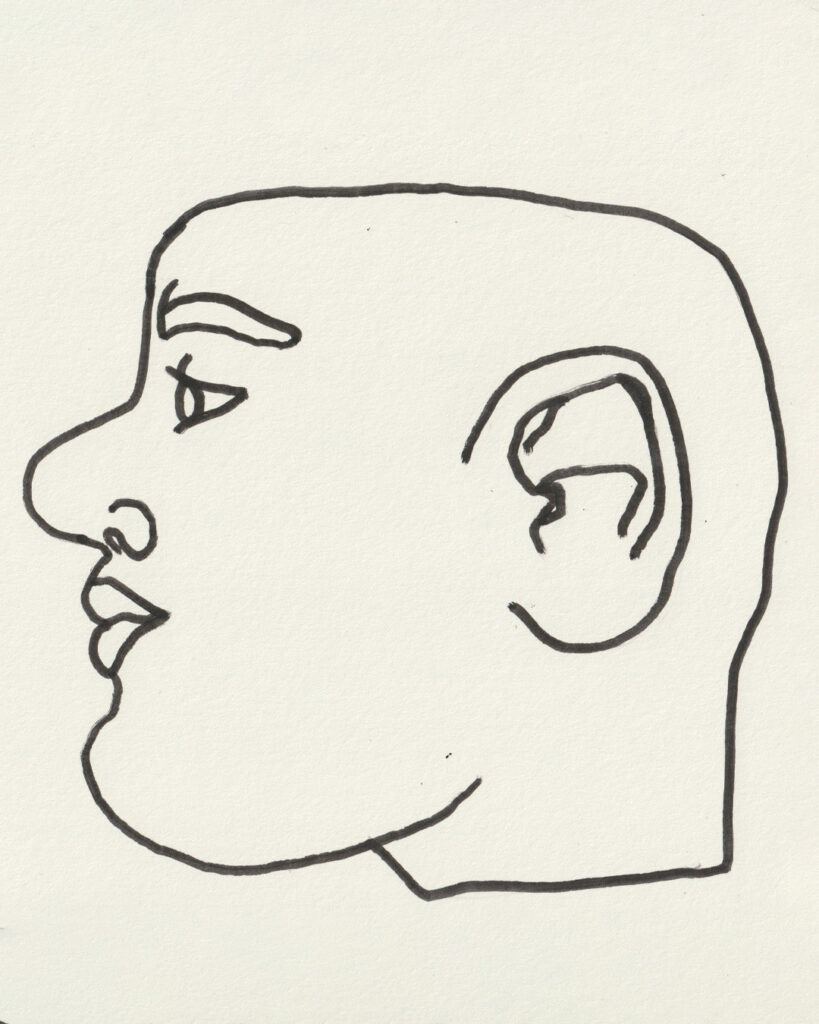 profil face 26